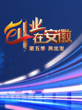 创业在安徽第5季