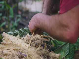 原始求生记：逃出亚马逊第一季